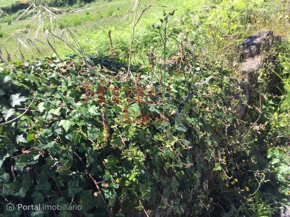 Land for sale in Branca