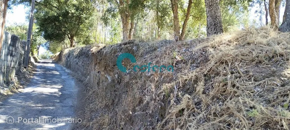Terreno Venda em Sanguedo,Santa Maria da Feira