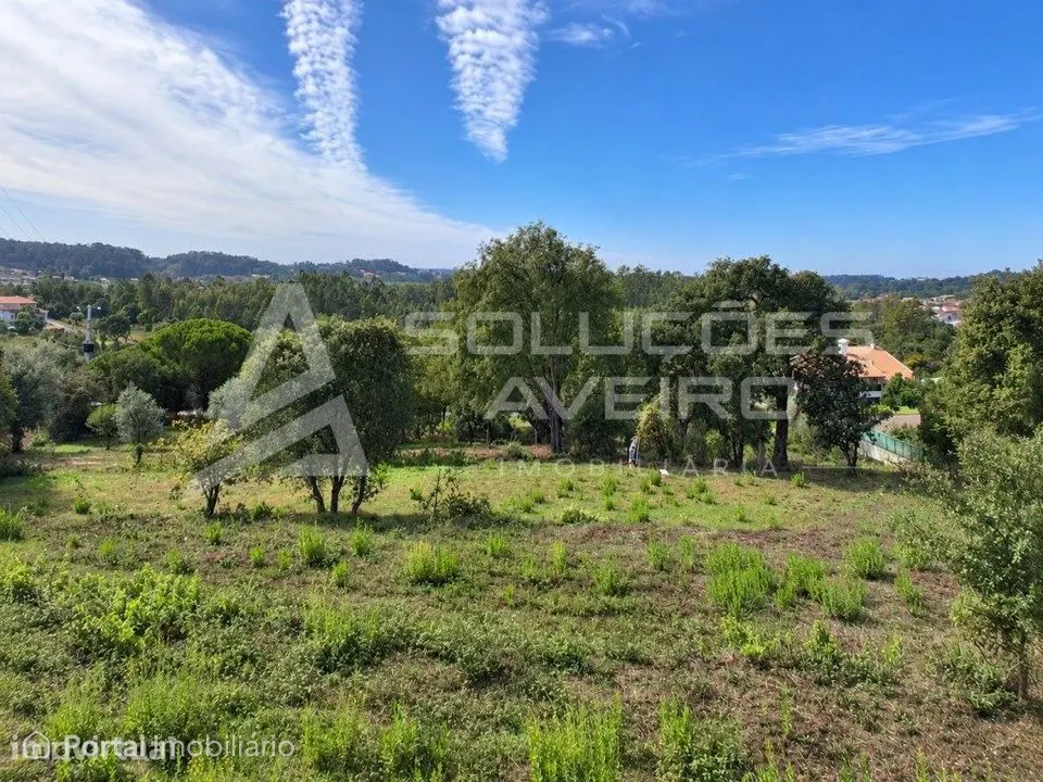 Quintã de oronhe - Águeda | 2.150 m²