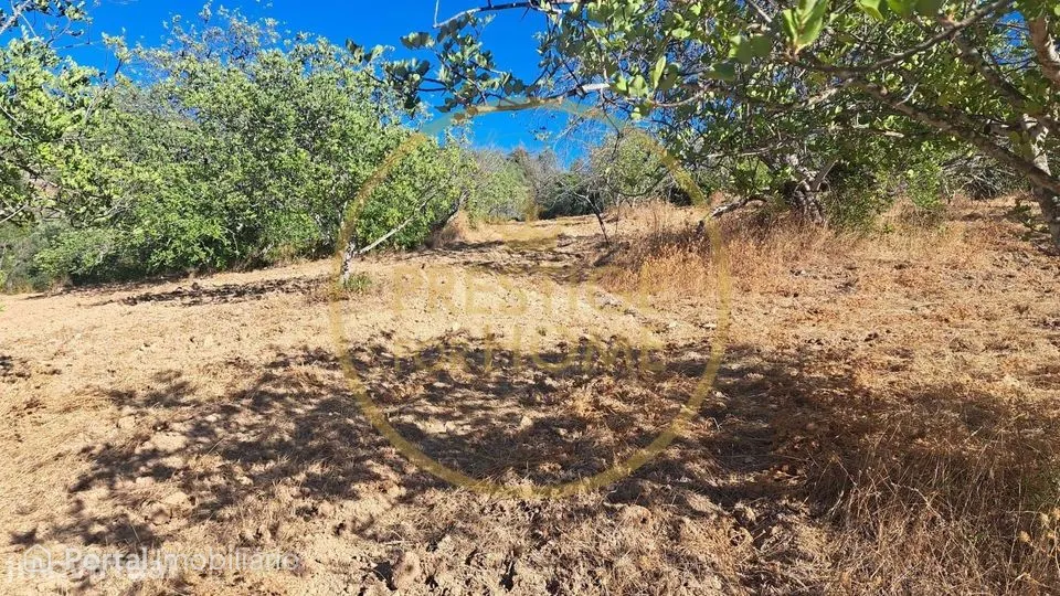 Land for sale in Loulé (São Sebastião)