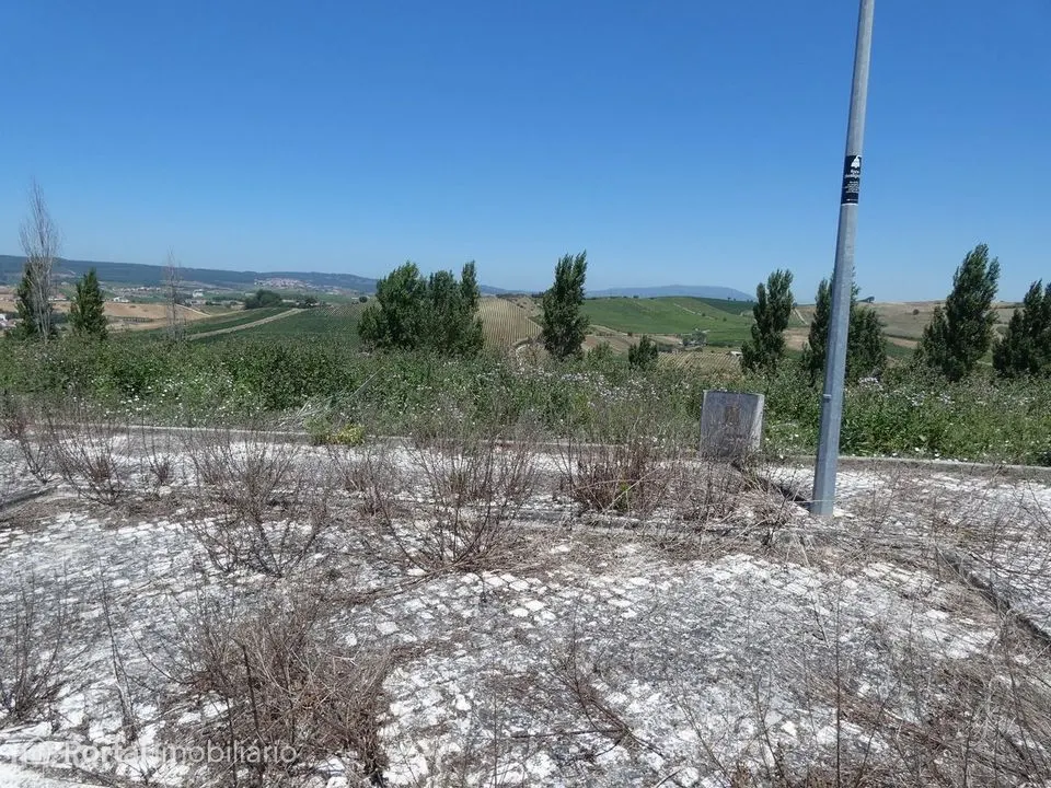 Land for rent in Santa Maria, São Pedro e Matacães
