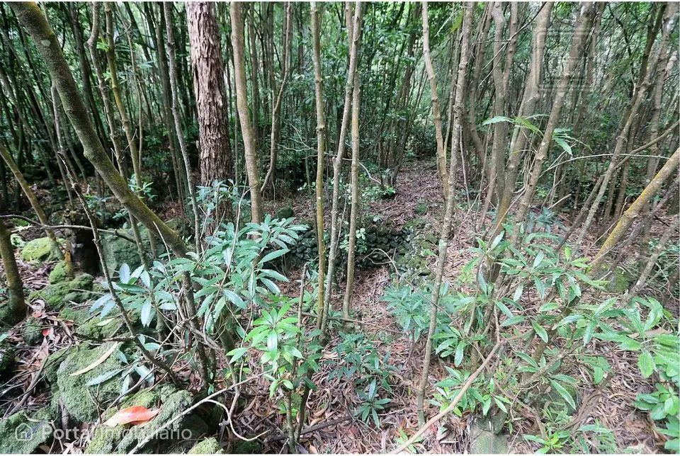 Terreno à venda em Calheta de São Jorge