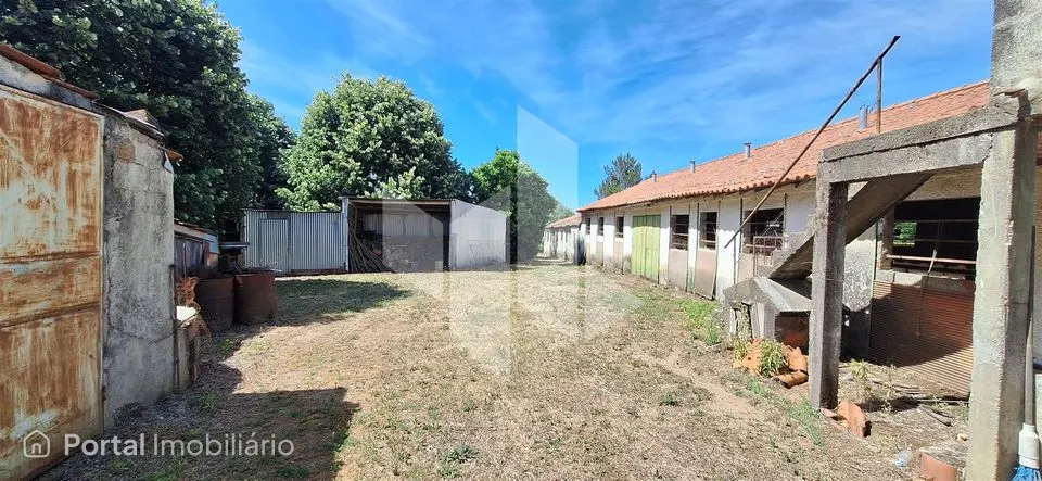 Studio farm for sale in Lobão da Beira